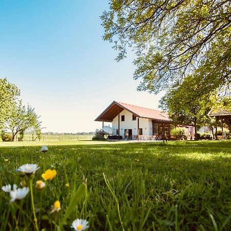 Sonnenblumenhof Guest House Muehlheim Bagian luar foto