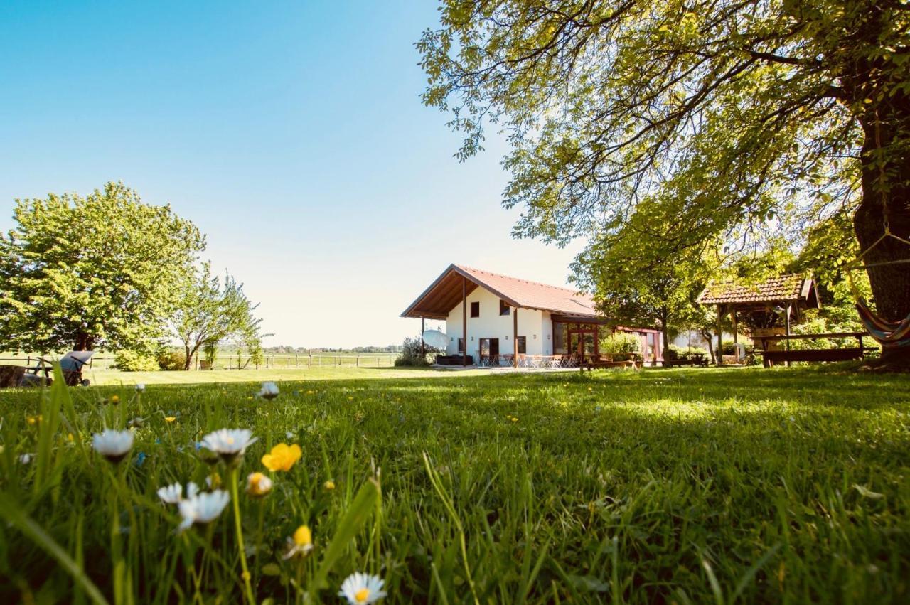 Sonnenblumenhof Guest House Muehlheim Bagian luar foto
